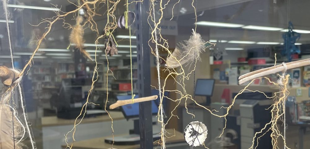 ava-exhibit-found-in-nature (23)