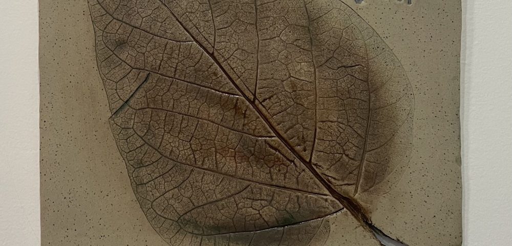 ava-exhibit-found-in-nature (4)